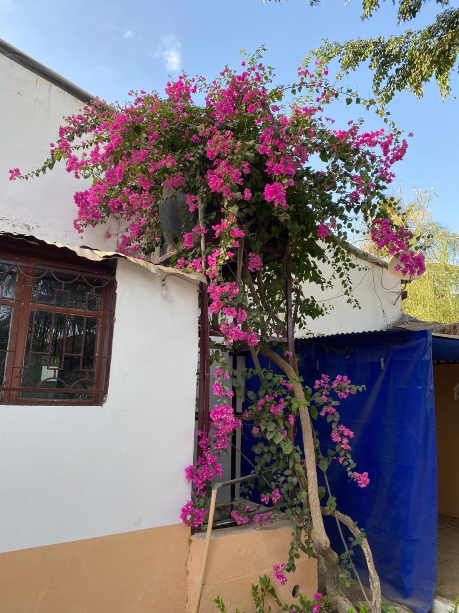 La Case Africaine Saly Portudal Esterno foto